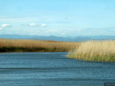 evros_riverland_067-s
